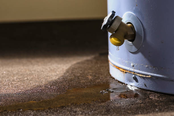 Best 24-hour water damage restoration  in Airport, CA