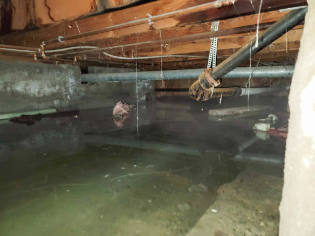 Best Basement water damage restoration  in Airport, CA