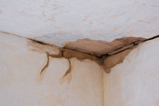 Best Flood damage cleanup  in Airport, CA
