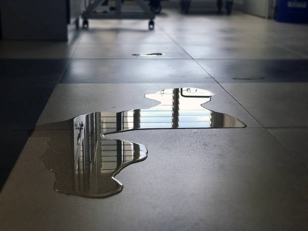 Best Flood restoration services  in Airport, CA