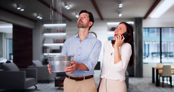 Best 24-hour water damage restoration  in Airport, CA