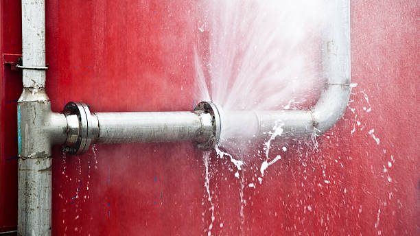 Best Mold removal after water damage  in Airport, CA